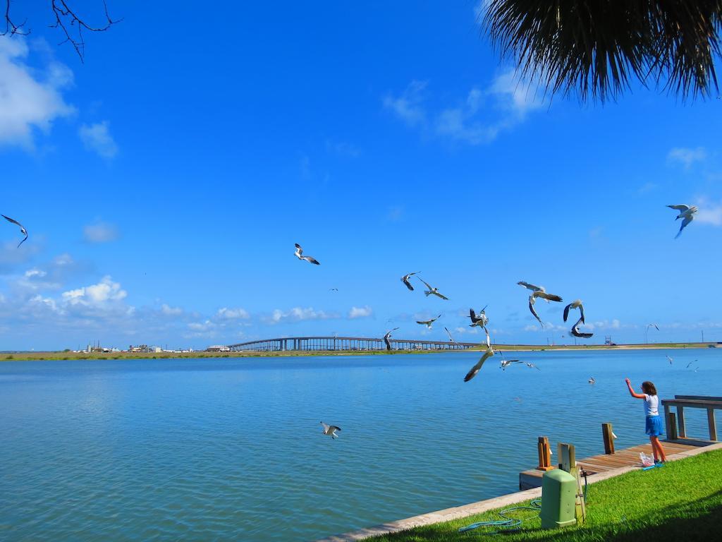 Multi Resorts At Puente Vista 科珀斯克里斯蒂 外观 照片